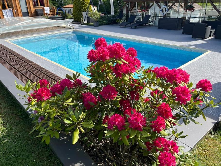 Chalet 2 Personnes Avec Jacuzzi Et Piscine Saisonniere Partagee Corcieux Εξωτερικό φωτογραφία